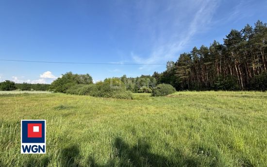 Grunt budowlany jednorodzinny na  sprzedaż Dąbrowa Biskupia - Działka rolna 25000m2 - Możliwość zakupu także przez osobę nie bądącą rolnikiem-pomagamy w formalnościacj- Niska Cena!!!!